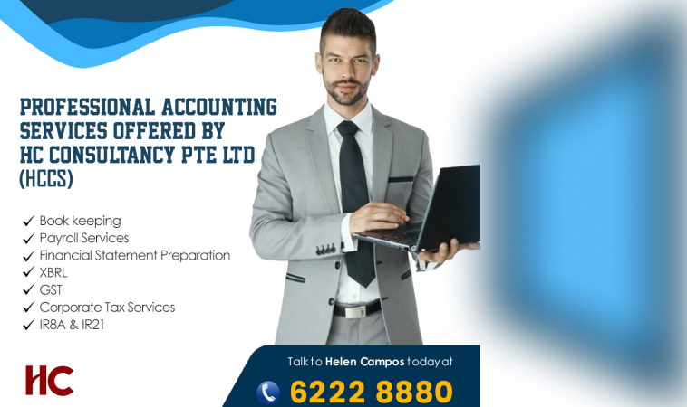 professional accounting